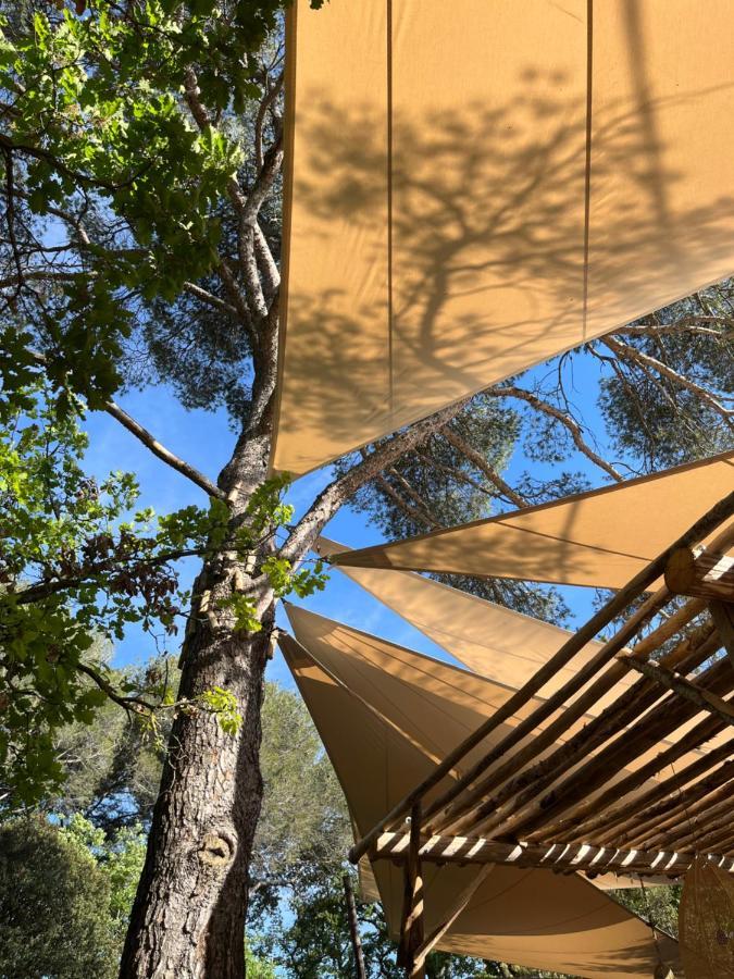 Bed and Breakfast La Bastide Des Grands Chenes Lambesc Esterno foto